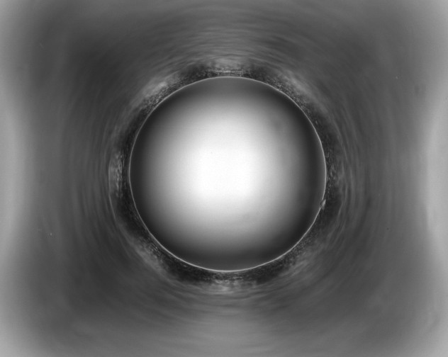 X0000087560744200704271226