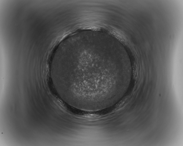 X0000087560748200704271226