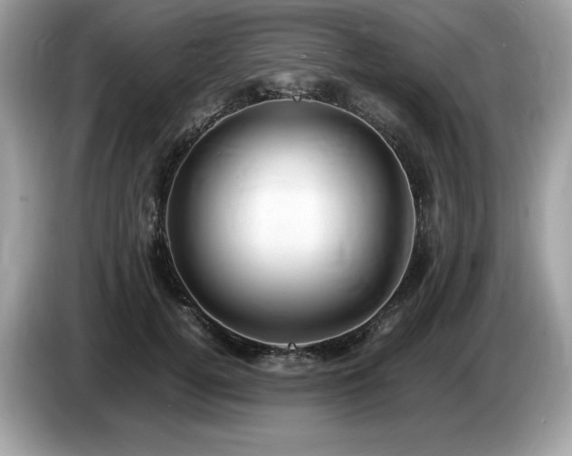 X0000087560752200704271226