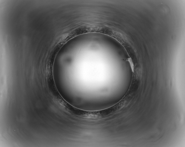 X0000087560756200704271226