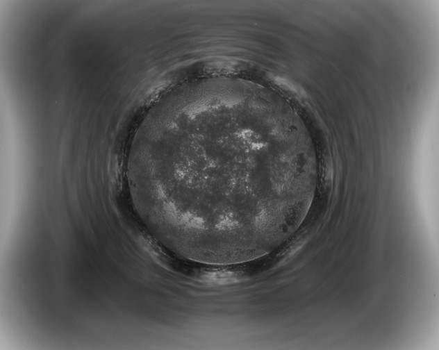X0000087560759200704271226