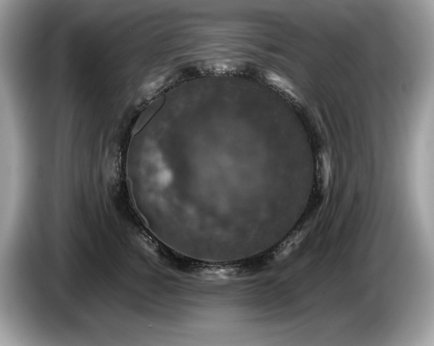 X0000087560760200704271226