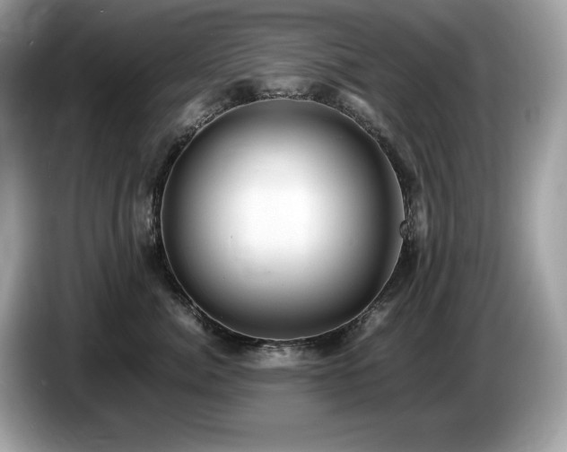 X0000087560764200704271226