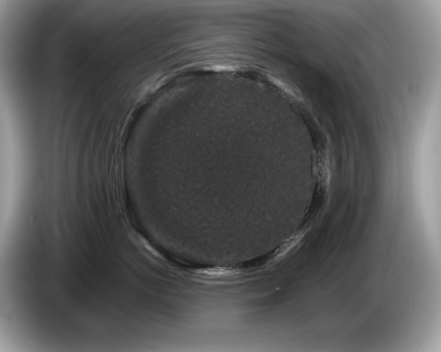 X0000087560766200704271226