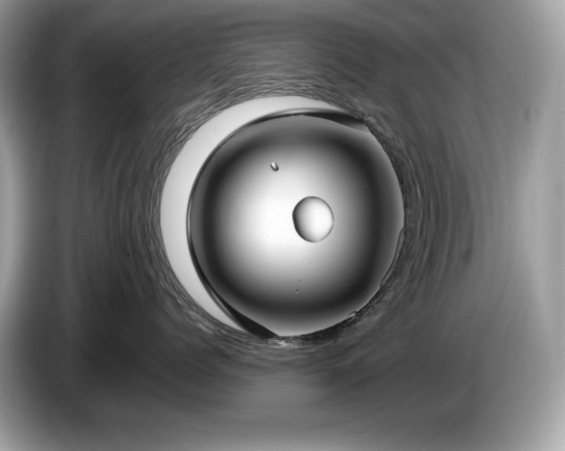 X0000087560768200704271226