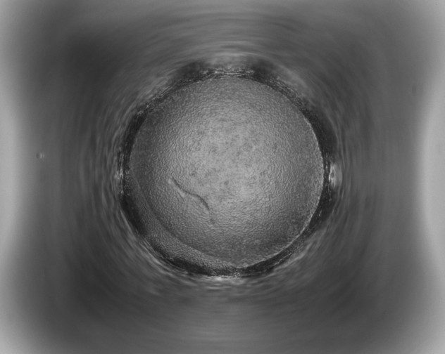 X0000087560771200704271225