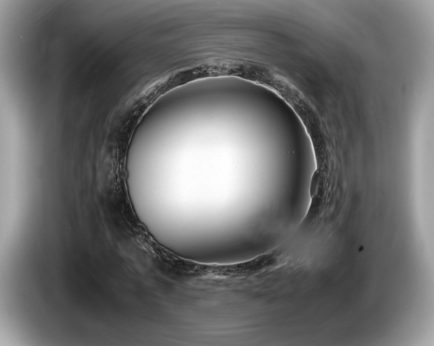 X0000087560773200704271225