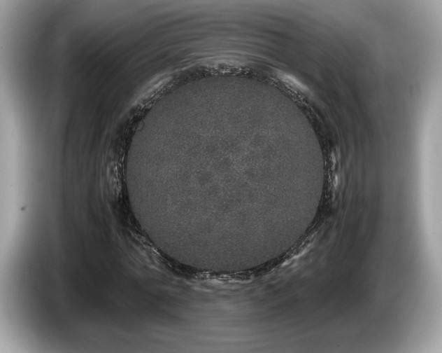 X0000087560774200704271225