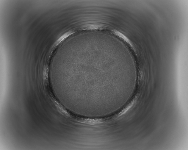X0000087560778200704271225