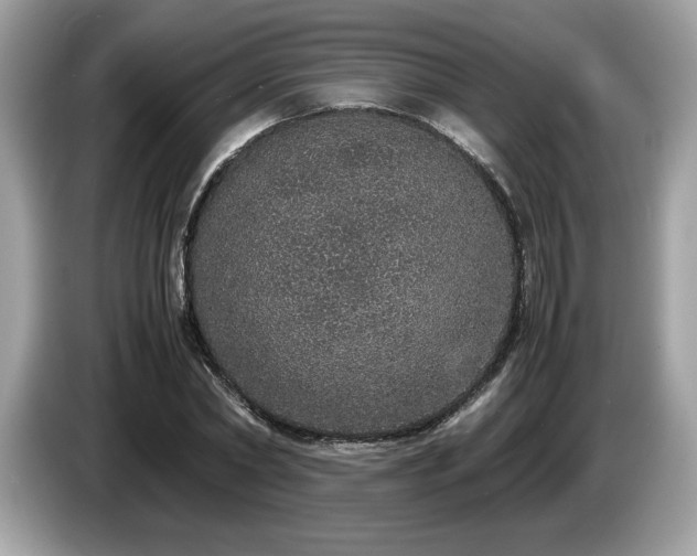 X0000087560782200704271225