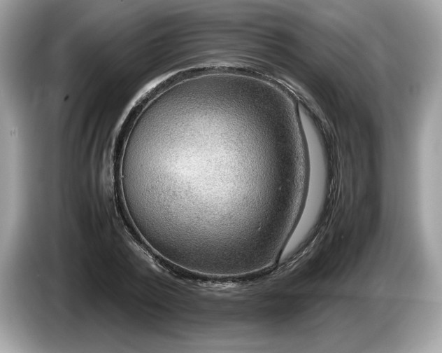 X0000087560784200704271225