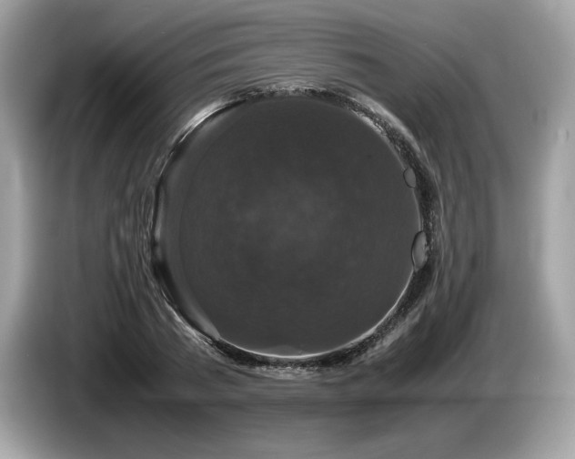X0000087560785200704271225