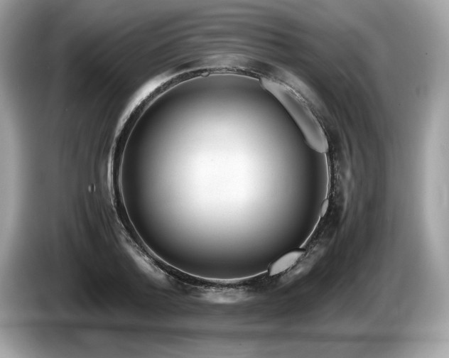X0000087560788200704271225