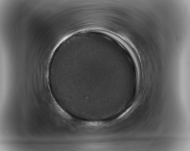 X0000087560797200704271225