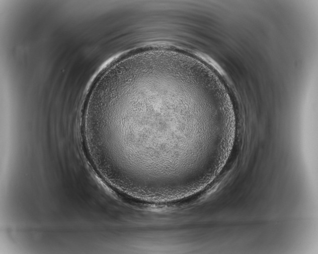 X0000087560799200704271225