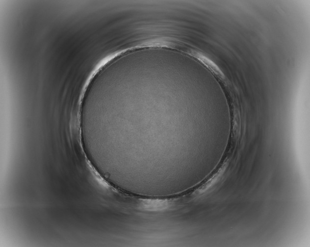 X0000087560800200704271225