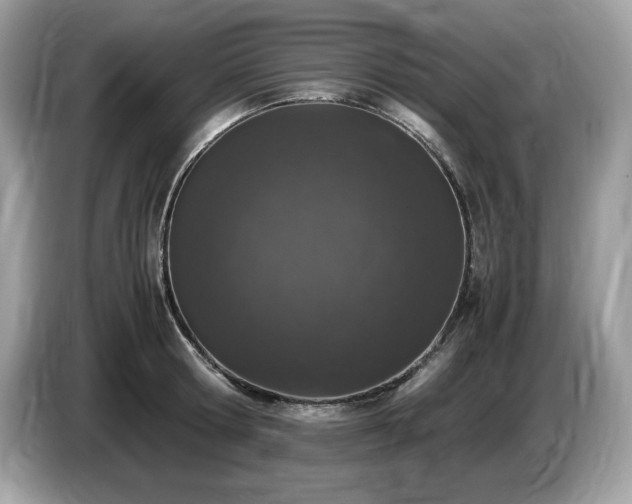 X0000087560802200704271225