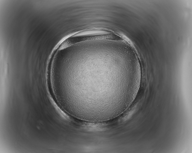 X0000087560803200704271225