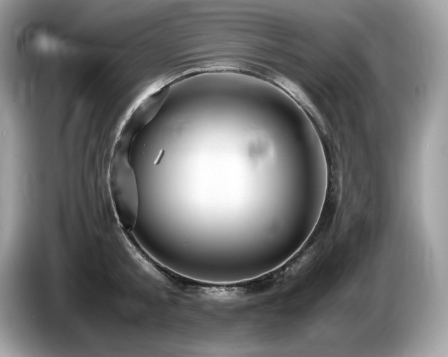 X0000087560805200704271225