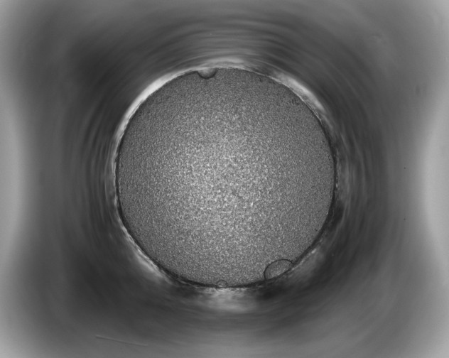 X0000087560808200704271225