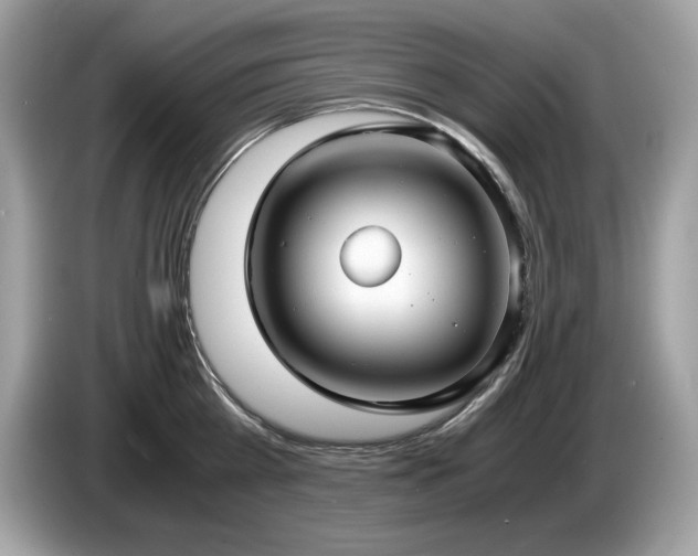 X0000087560809200704271225