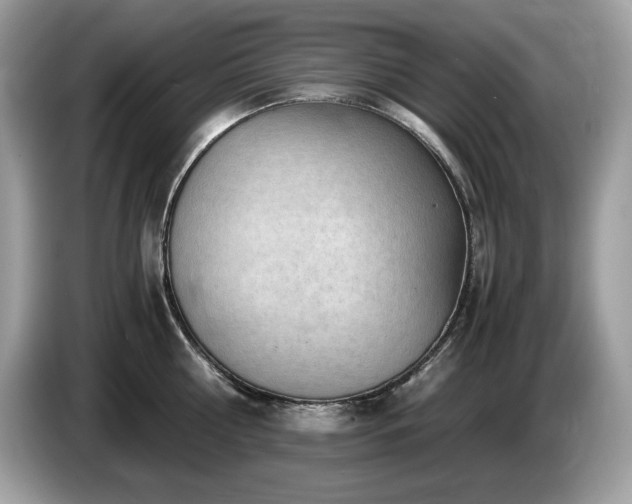 X0000087560810200704271225