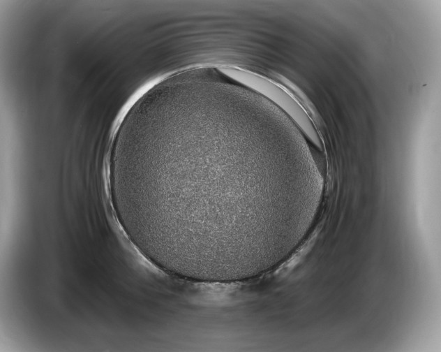 X0000087560812200704271225