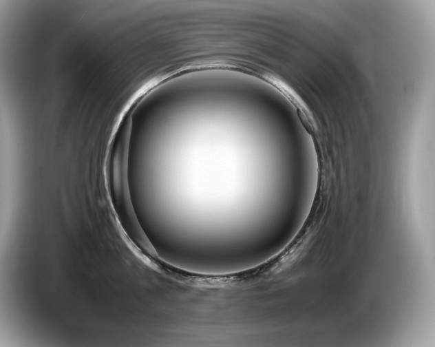 X0000087560813200704271225