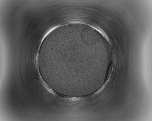 X0000087560814200704271225