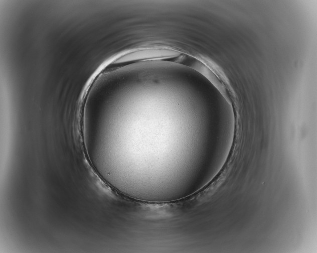 X0000087560816200704271225