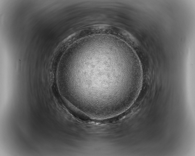 X0000087560821200704271224
