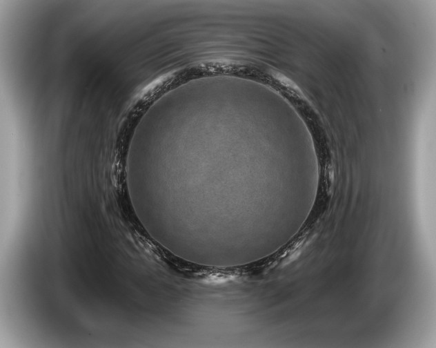 X0000087560822200704271224