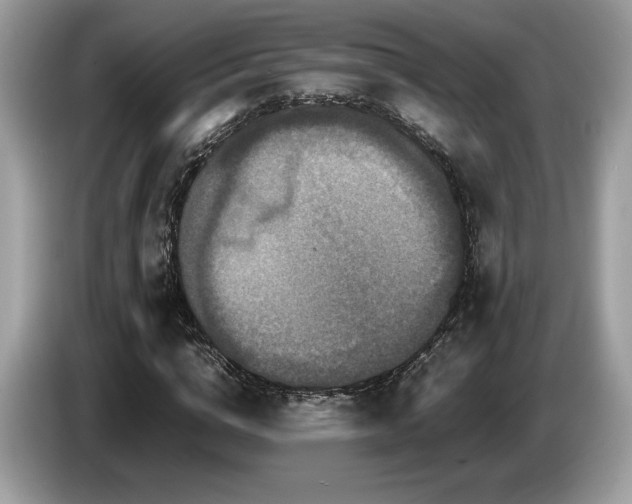 X0000087560824200704271224