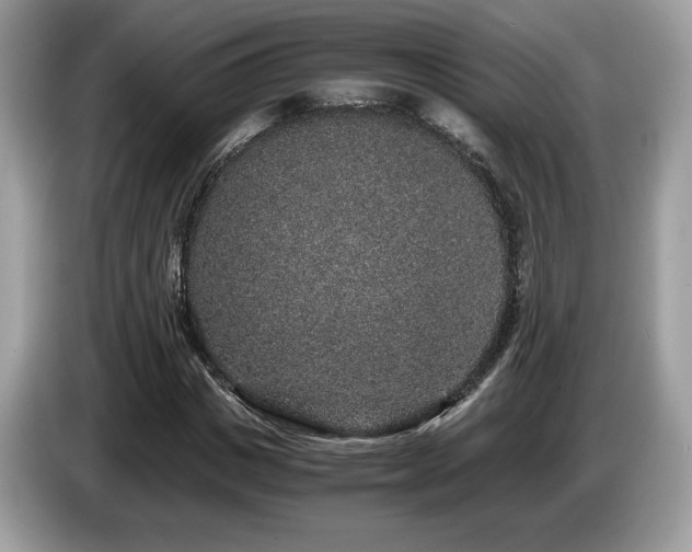 X0000087560825200704271224