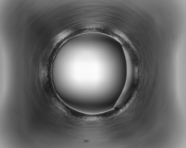 X0000087560826200704271224