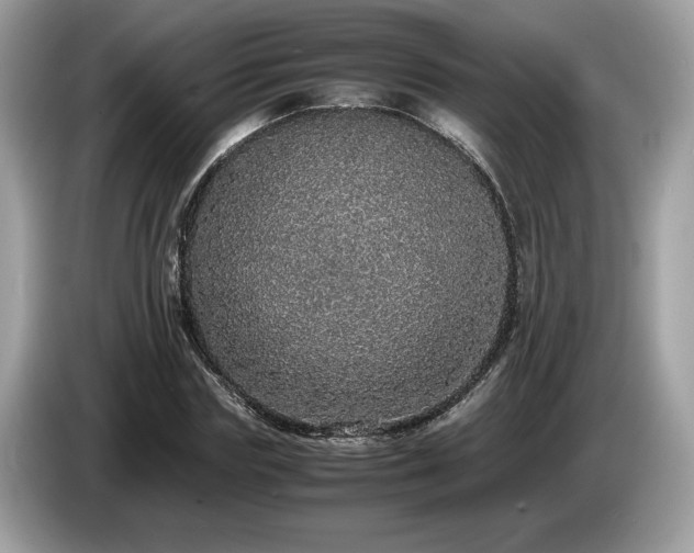 X0000087560827200704271224