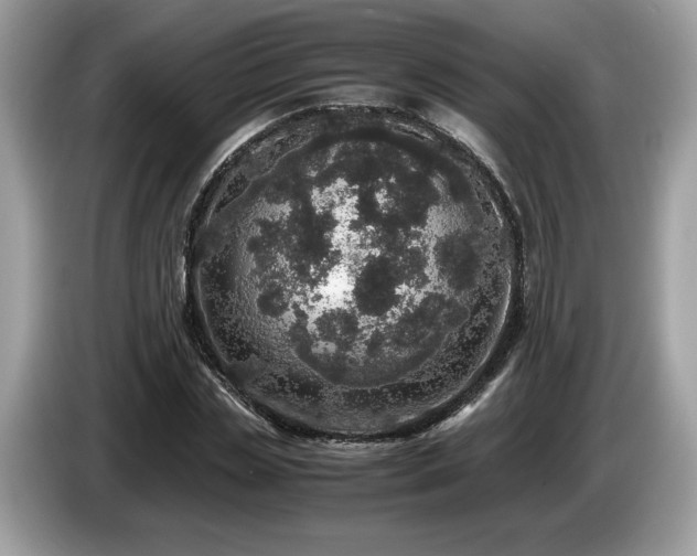 X0000087560829200704271224