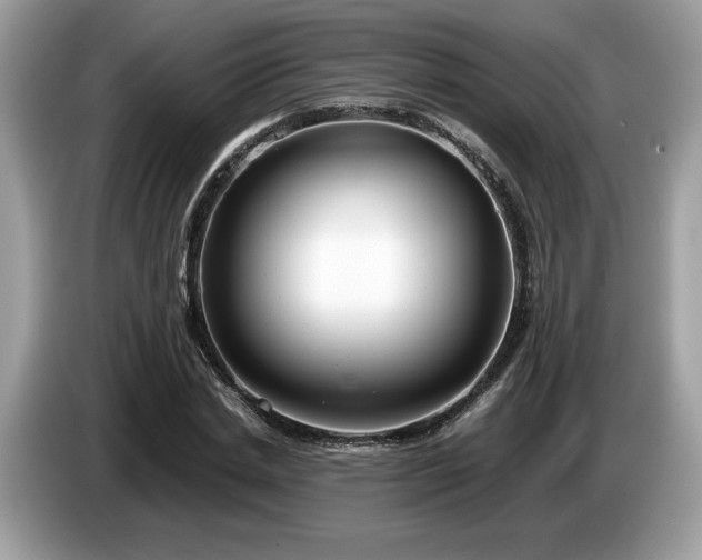 X0000087560830200704271224
