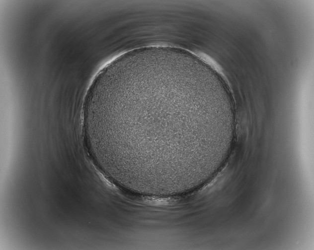 X0000087560831200704271224