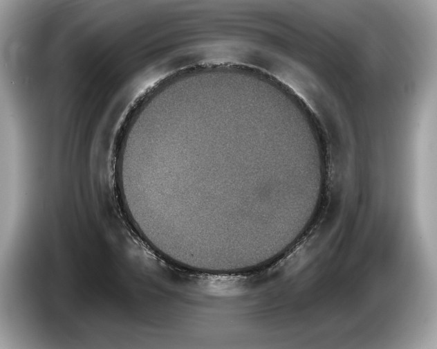 X0000087560832200704271224