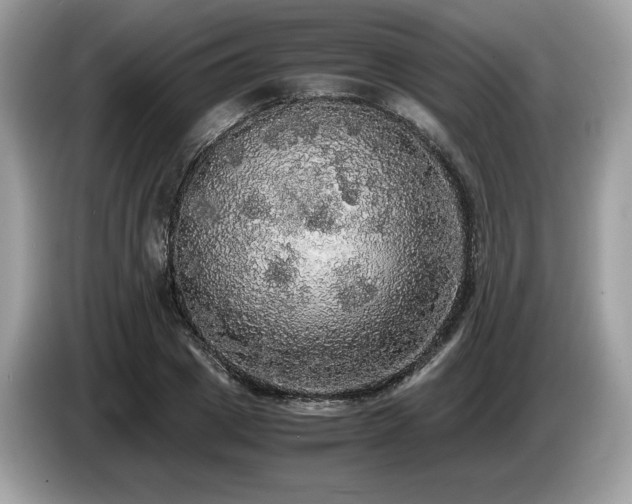 X0000087560833200704271224