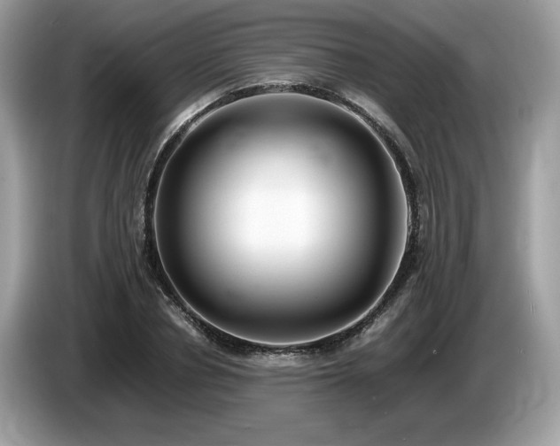 X0000087560834200704271224