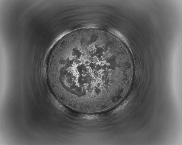 X0000087560835200704271224