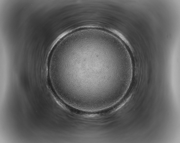 X0000087560837200704271224
