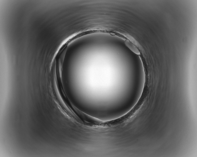 X0000087560838200704271224