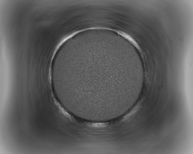 X0000087560839200704271224