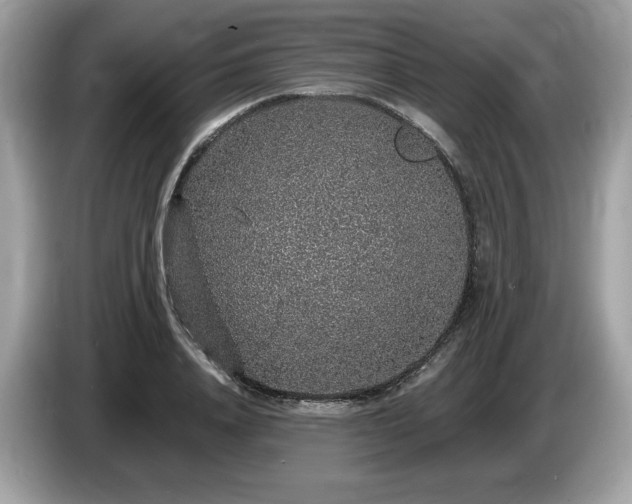 X0000087560840200704271225
