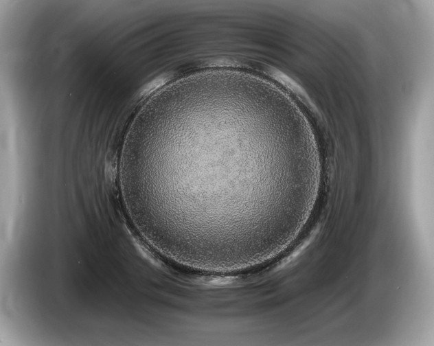 X0000087560841200704271225