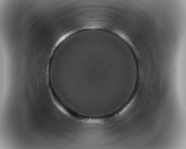 X0000087560842200704271225