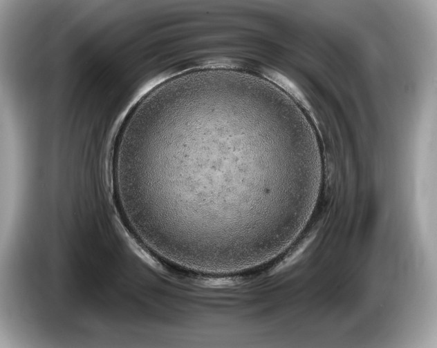 X0000087560843200704271225
